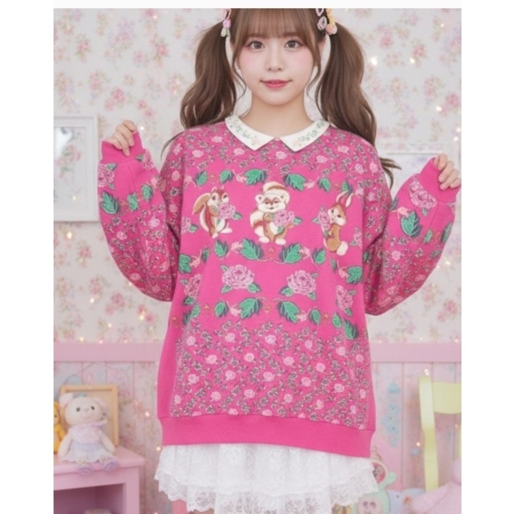 Vtg 80s Streetwear Spumoni Fairy Kei Kawaii Rose Bunny Racoon Pastel Sweatshirt‎